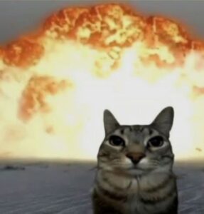 gato con una explosión atrás